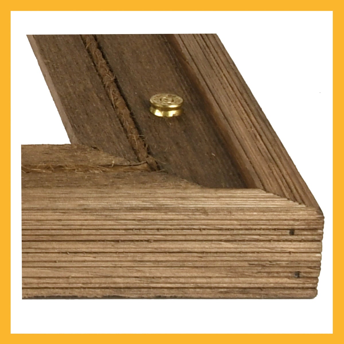 Rustic Colt Frame | Woody's Wild West Photography